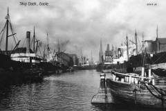 A general view of Goole's Ship Dock.