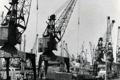 Discharging timber, Goole