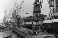 Discharging copra from a coaster into the motor barge Selby Corrie.