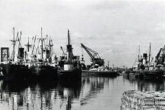 Numerous steamships and motor vessels moored around Goole's West Dock.