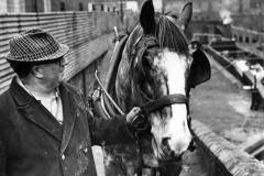 Bargee and his horse