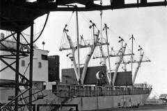 MV Strijbeek discharging heavy steel coils in Goole Docks.