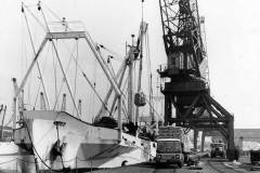 MV Marijke Irene in Goole's West Dock – South.