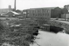 Overgrown canal basin