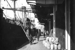 The Ghent and Antwerp Shed in Goole Docks.