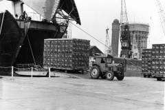 Discharging 'Carlsberg' lager