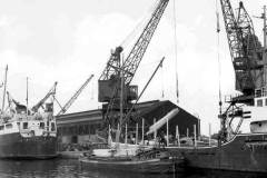 Discharging timber by a coaster's own fore derrick.