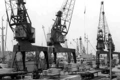 Handling Russian timber at Goole Docks.