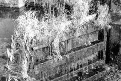 Abandoned Pocklington Canal lock